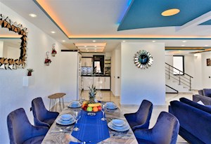 VİLLA LEYDİ-2