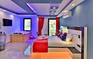 VİLLA LEYDİ-2