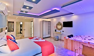 VİLLA LEYDİ-2