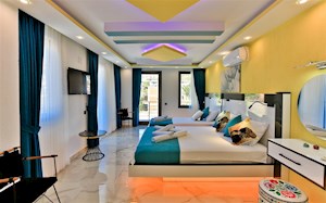 VİLLA LEYDİ-2