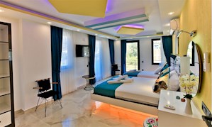 VİLLA LEYDİ-2