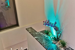 VİLLA LEYDİ-2
