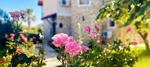 VİLLA PAPAVER-1