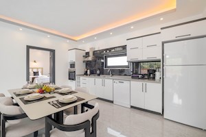 VİLLA VIENNA -1